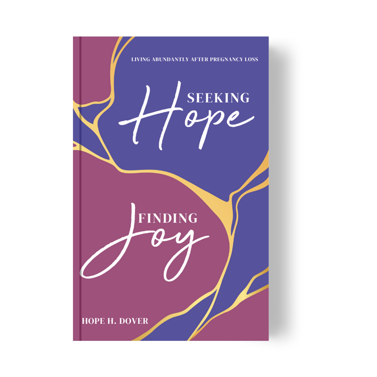 Seeking Hope, Finding Joy Paperback Book